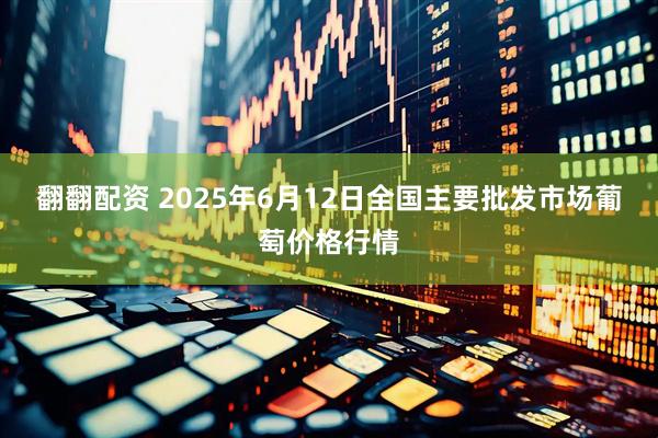翻翻配资 2025年6月12日全国主要批发市场葡萄价格行情