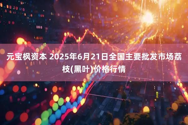 元宝枫资本 2025年6月21日全国主要批发市场荔枝(黑叶)价格行情