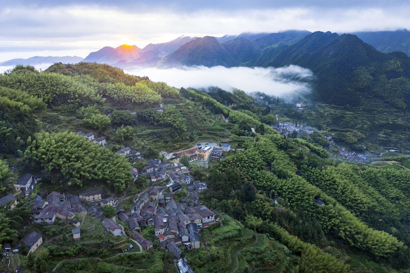 陈家铺村(受访人供图)